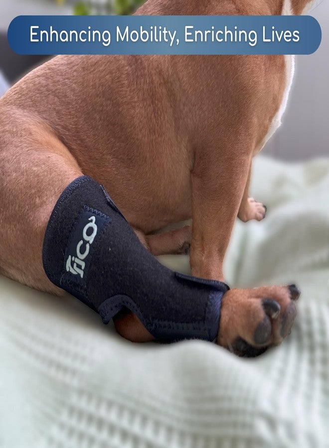 Fico Dog Hock Brace for Ankle Support & Arthritis, Vet Approved Dog Back Leg Brace, Adjustable with Removable Splints, Orthopedic Support for Injuries, Sprains & Post-Surgery Recovery (X Small) - Image 5
